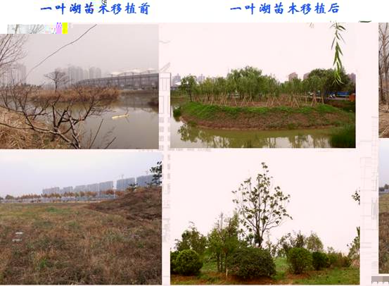 QQ截圖20180626161120.jpg