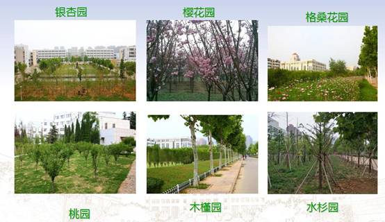 QQ截圖20180626160854.jpg