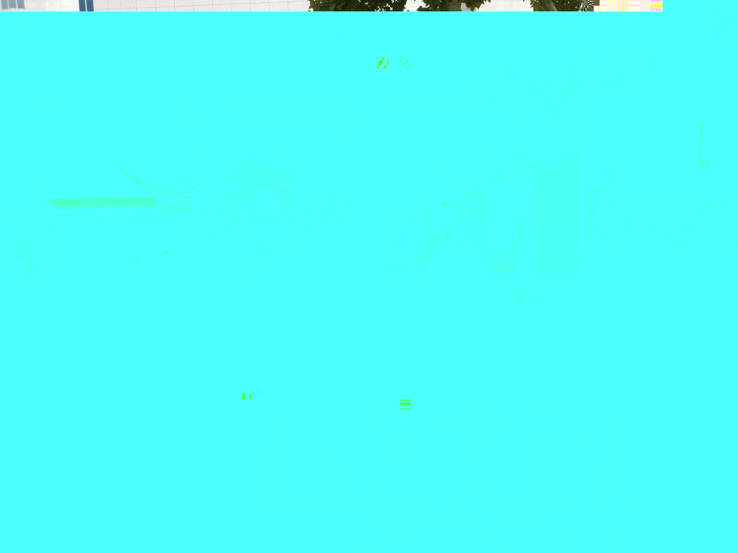 17a71aa5b1f4bd796d5d1e2bcc2b56f