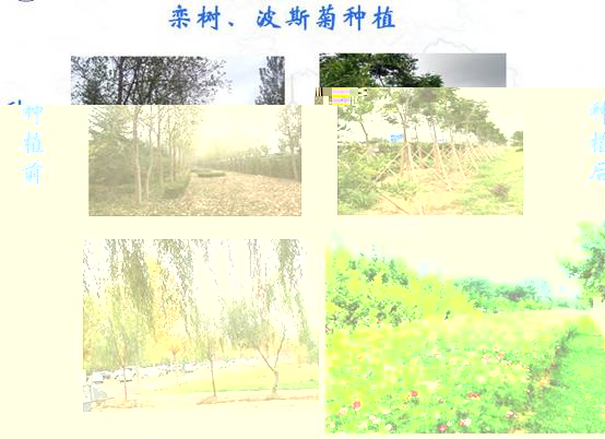 QQ截圖20180626161132.jpg