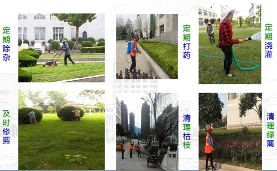 QQ截圖20180626161706.jpg