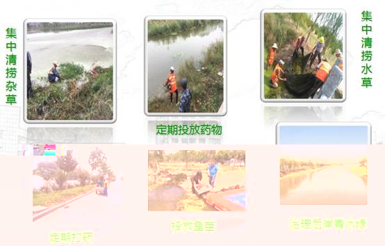 QQ截圖20180626161729.jpg